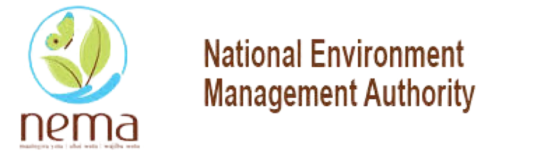 NEMA Registered EIA / EA Lead Experts
