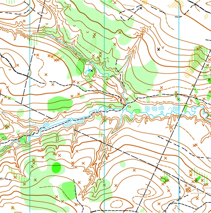 Topographical Survey
